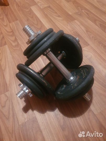 Гантели разборные 2 по 10 кг