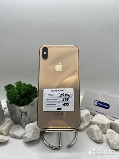 iPhone Xs Max, 256 ГБ