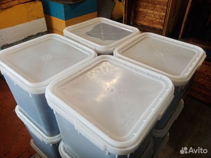 Мёд гречиха-лесное разнотравье опт