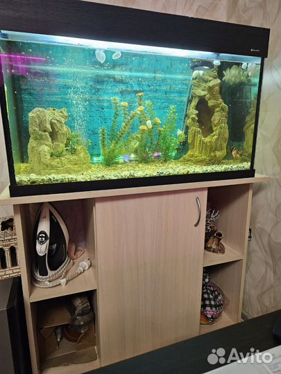 Аквариум с тумбой 120 литров +декор