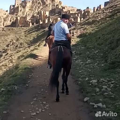 Экскурсии по Дагестану