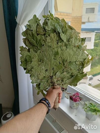Веники для бани