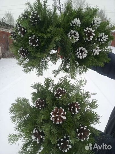 Букет из Пихты