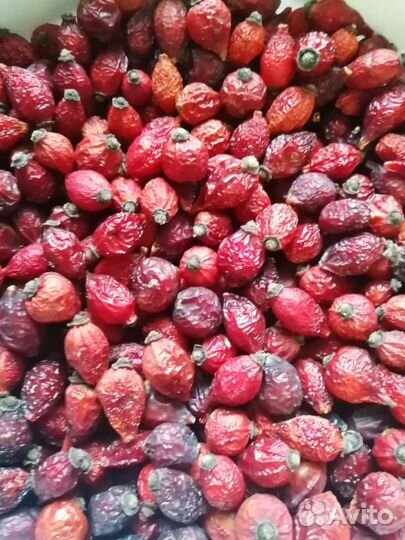 Шиповник сушеный