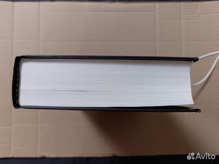 Уильям Гэсс Тоннель