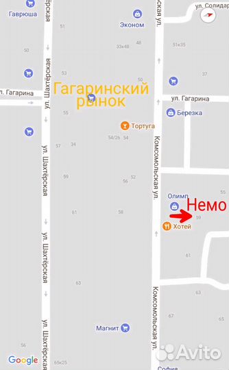 Волнистые Попугаи