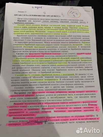 Лекции по гистологии (распечатанные)