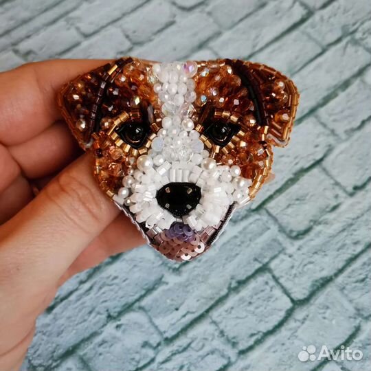 Джек рассел терьер