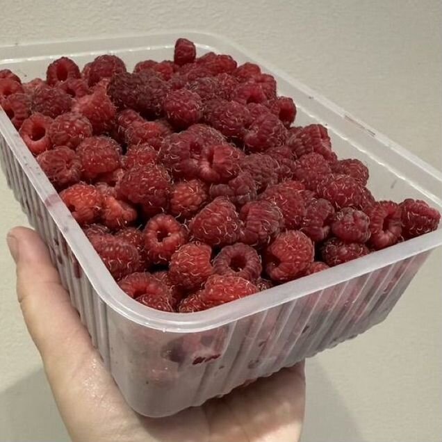 Малина свежая домашняя