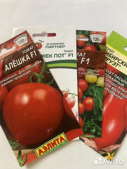 Рассада томатов, перцев, огурцов
