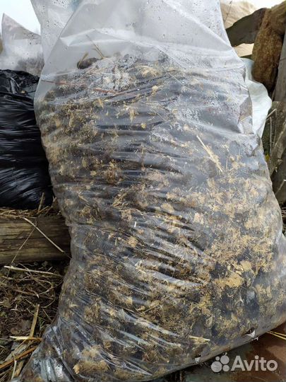 Конский навоз