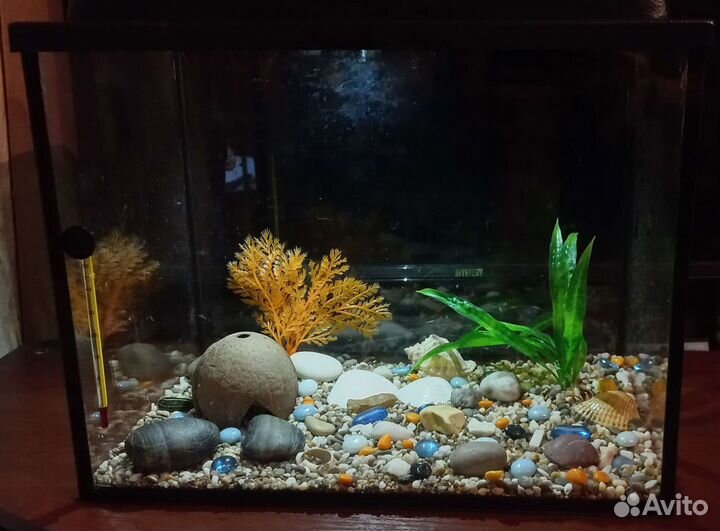 Аквариум 40л