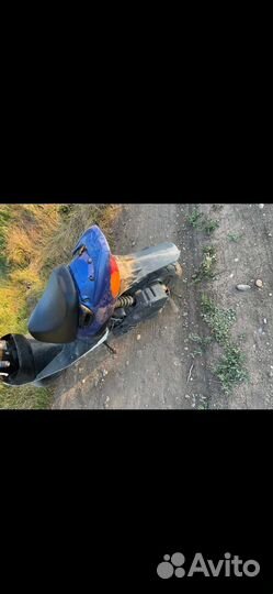 Suzuki zz