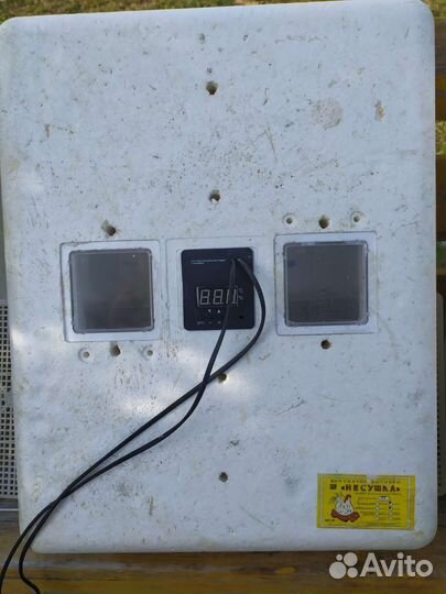 Инкубатор Несушка