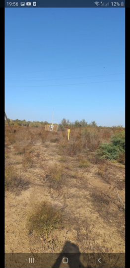 Участок 8 сот. (СНТ, ДНП)