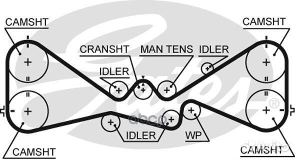 281x30 Ремень грм 5612XS Gates