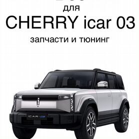 Всё для cherry icar 03