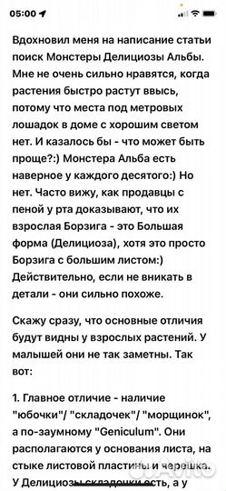 Монстера альба борзига