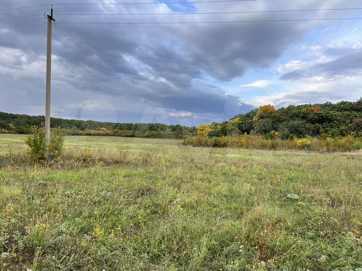 Участок 38 га (СНТ, ДНП)