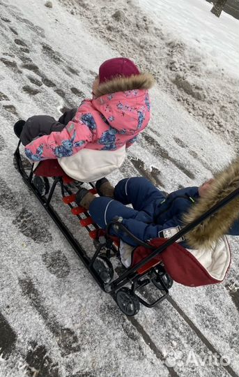 Санки двухместные