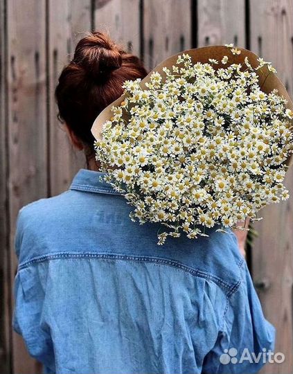 Цветы ромашки. Букеты ромашек. Цветы доставка