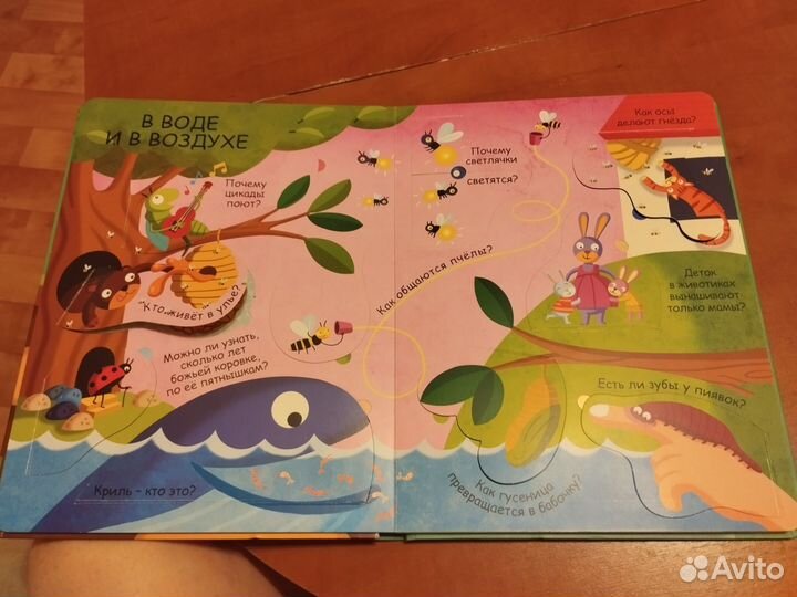 Детские книжки с окошками