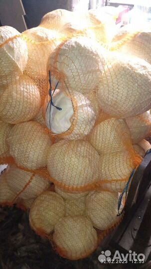 Продукты питания