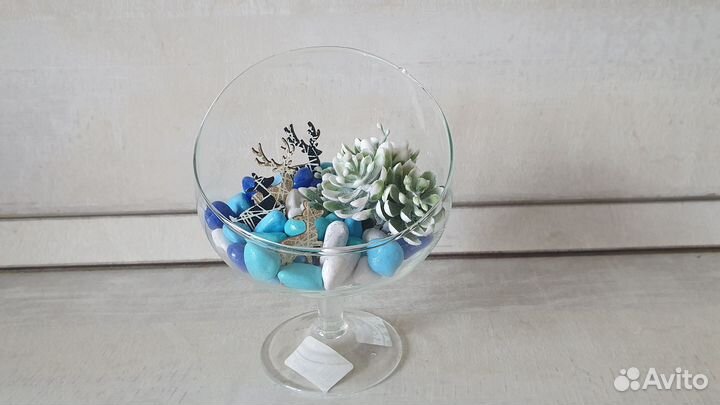 Флорариум новый