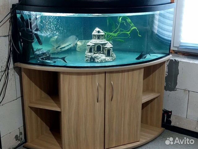 Новый аквариум объявление продам