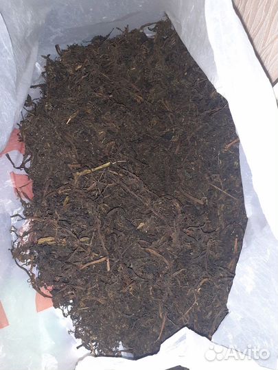 Иван-чай майский