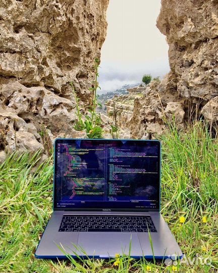 Требуется программист