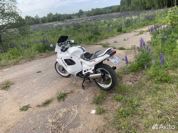 Suzuki gsx600f
