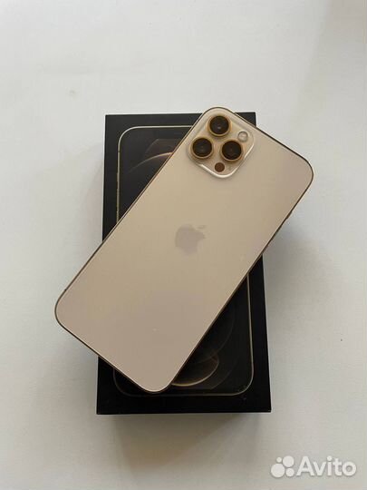iPhone 12 Pro Max, 256 ГБ