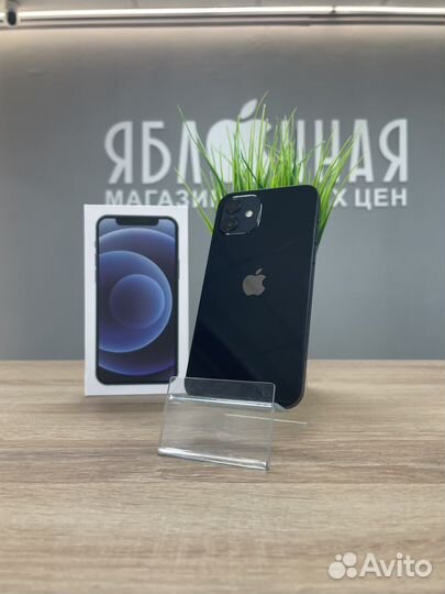 iPhone 12, 256 ГБ