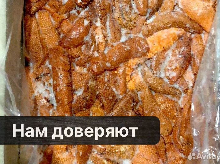 Икра форели в ястыках оптом