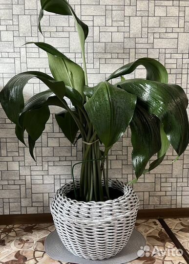 Кашпо из искусственного ротанга