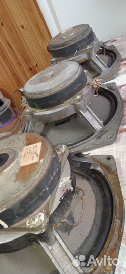 Динамики 75 гдн