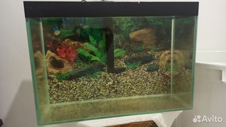 Аквариум