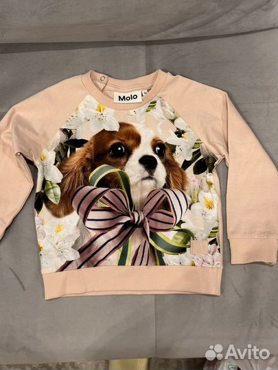 Лонгслив molo 86