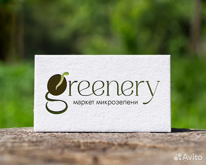 Дизайнер, графический/веб, сайты