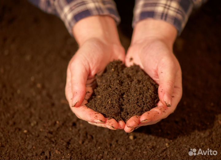 Грунт растительный
