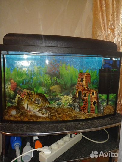 Аквариум