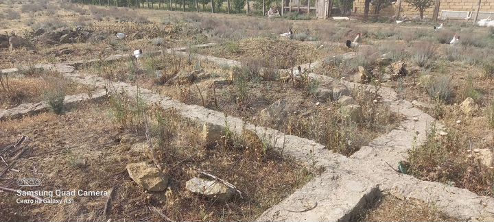 Участок 6 сот. (ИЖС)