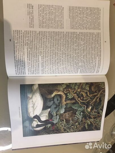 Книга Жизнь животных