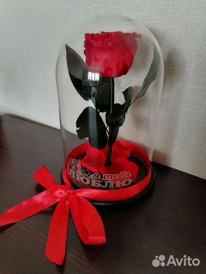 Роза в колбе