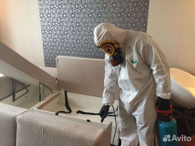 Уничтожение Тараканов Клопов Муравьв Ос Блох