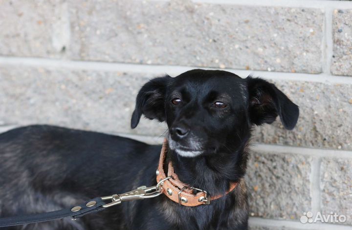 Подари шанс на счастливую жизнь