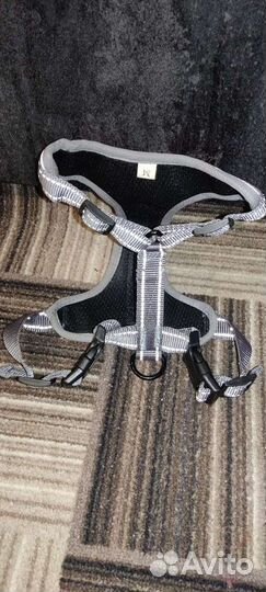 Шлейка для собаки новая