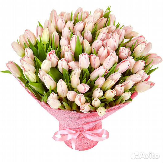 Букет 272 Сортовые тюльпаны бело-розовые 101 шт