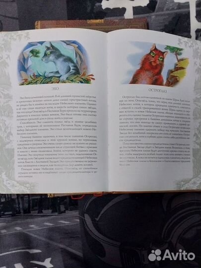 Книги коты воители
